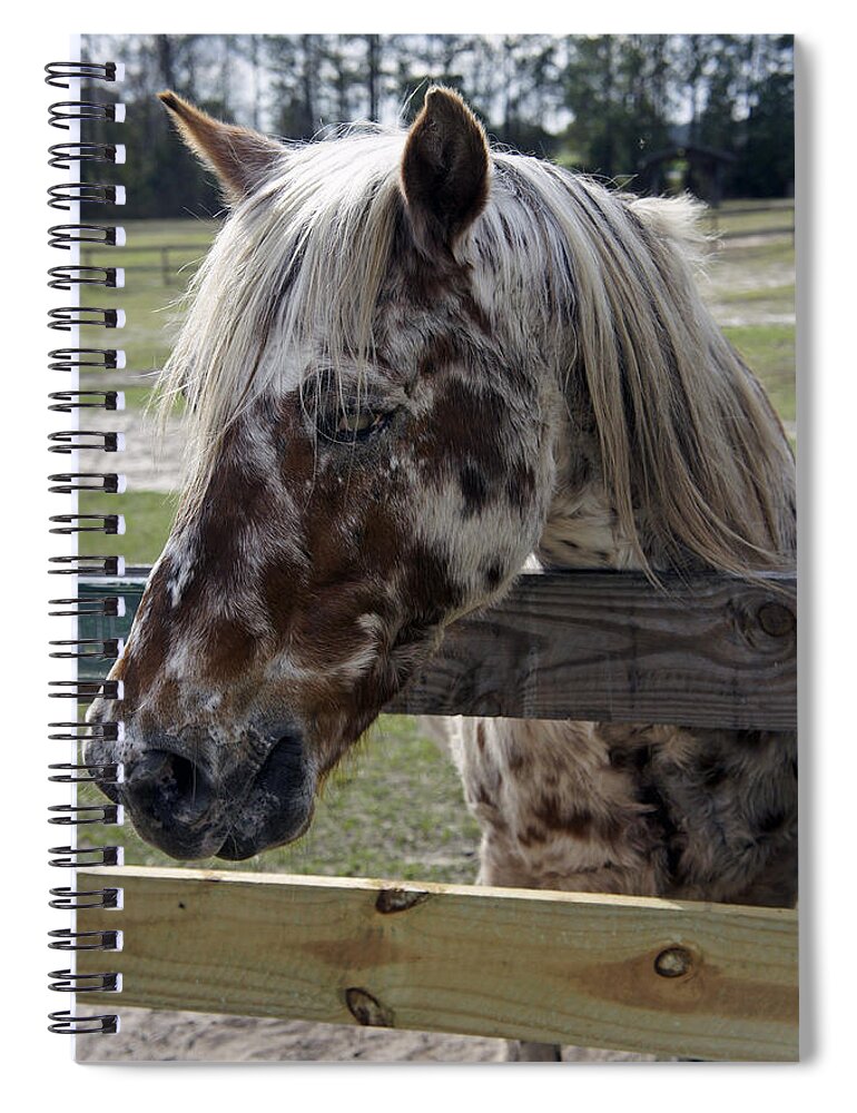 Mill Creek Farm Spiral Notebook featuring the photograph Blind but Beautiful by Laurie Perry