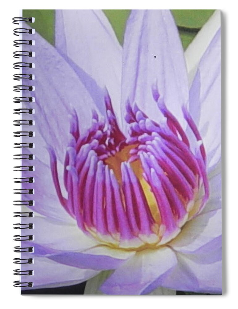 Photograph Spiral Notebook featuring the photograph Blooming For You by Chrisann Ellis