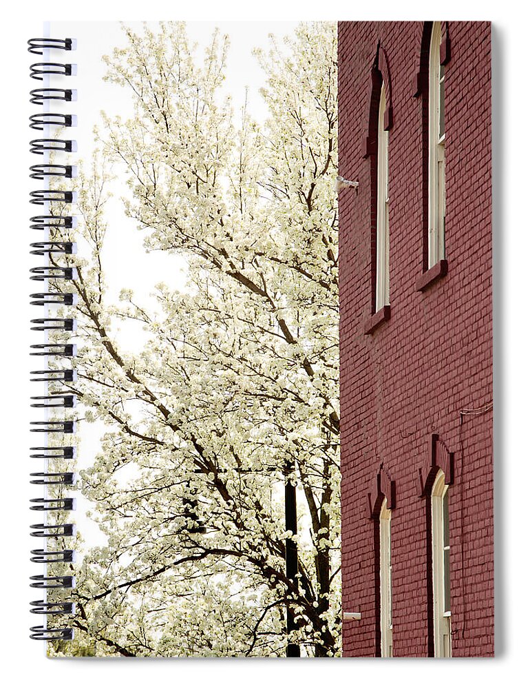 Red Brick Spiral Notebook featuring the photograph Blossoms and Brick by Courtney Webster