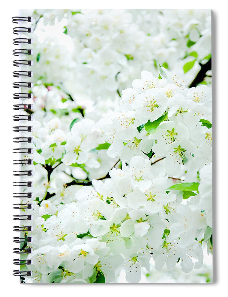 Blossoms Spiral Notebook featuring the photograph Blossoms Squared by Greg Fortier