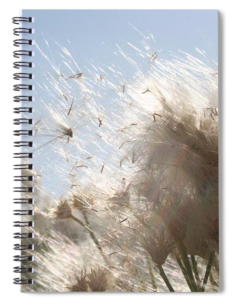 Daisy Spiral Notebook featuring the photograph Blow me away by Julie Lueders 