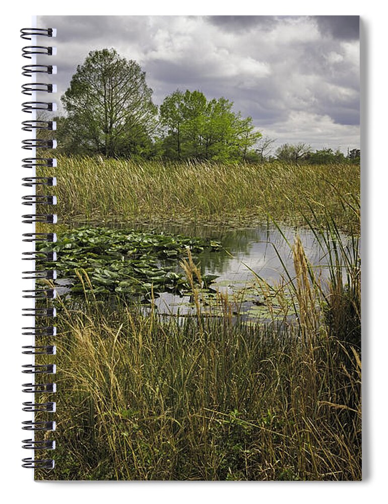 Blue Cypress Swamp Spiral Notebook featuring the photograph Blue Cypress Wetlands by Fran Gallogly