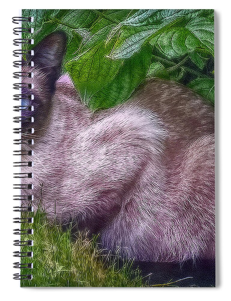 Cat Spiral Notebook featuring the photograph Blue Eyes - signed by Hanny Heim