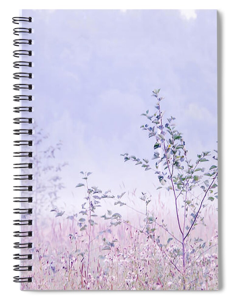 Fog Spiral Notebook featuring the photograph Blue Fog by Jenny Rainbow