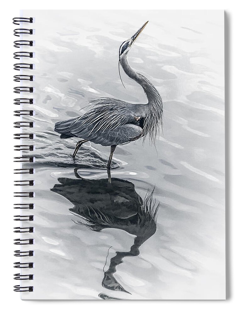 Blue Heron Display Spiral Notebook featuring the photograph Blue Heron Display by Wes and Dotty Weber