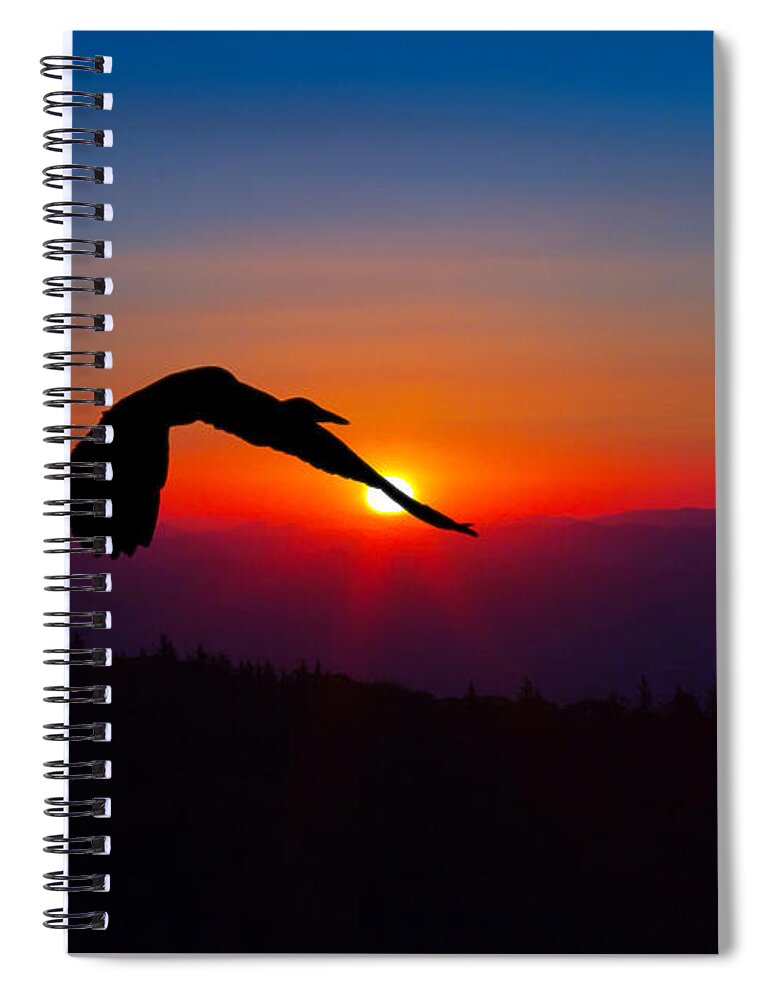 Heron Spiral Notebook featuring the photograph Blue Heron Rising with the Sun by John Haldane