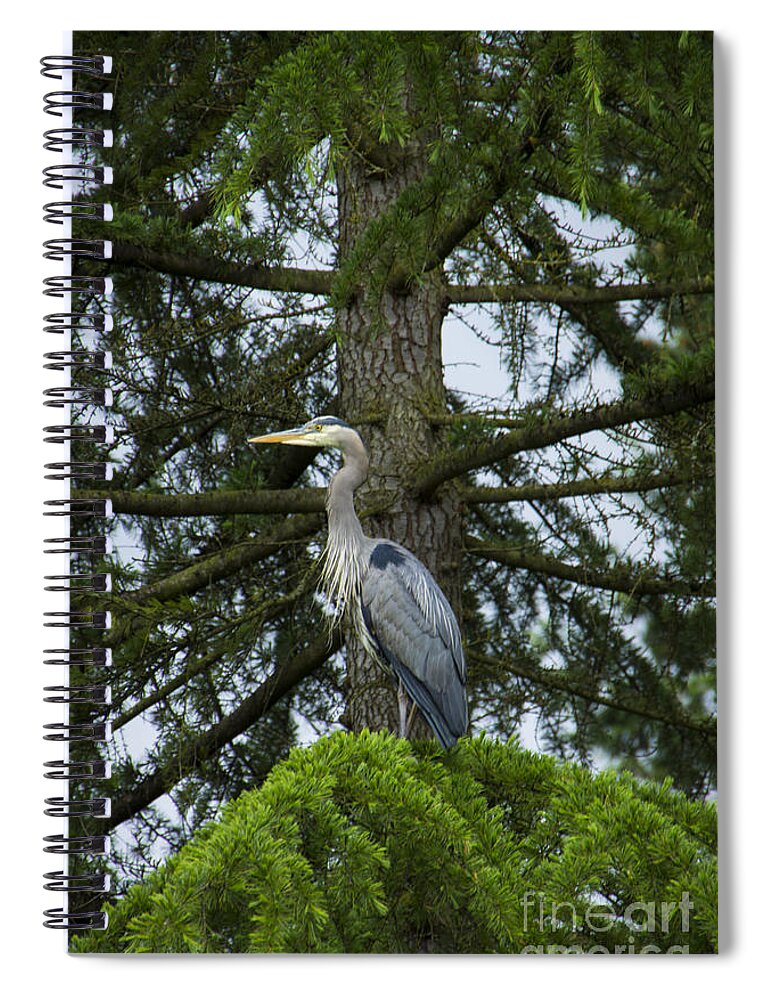 Heron Spiral Notebook featuring the Blue Heron Tree by Louise Magno