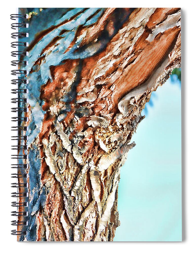 Tree Spiral Notebook featuring the photograph Blue Icing by Sylvia Thornton