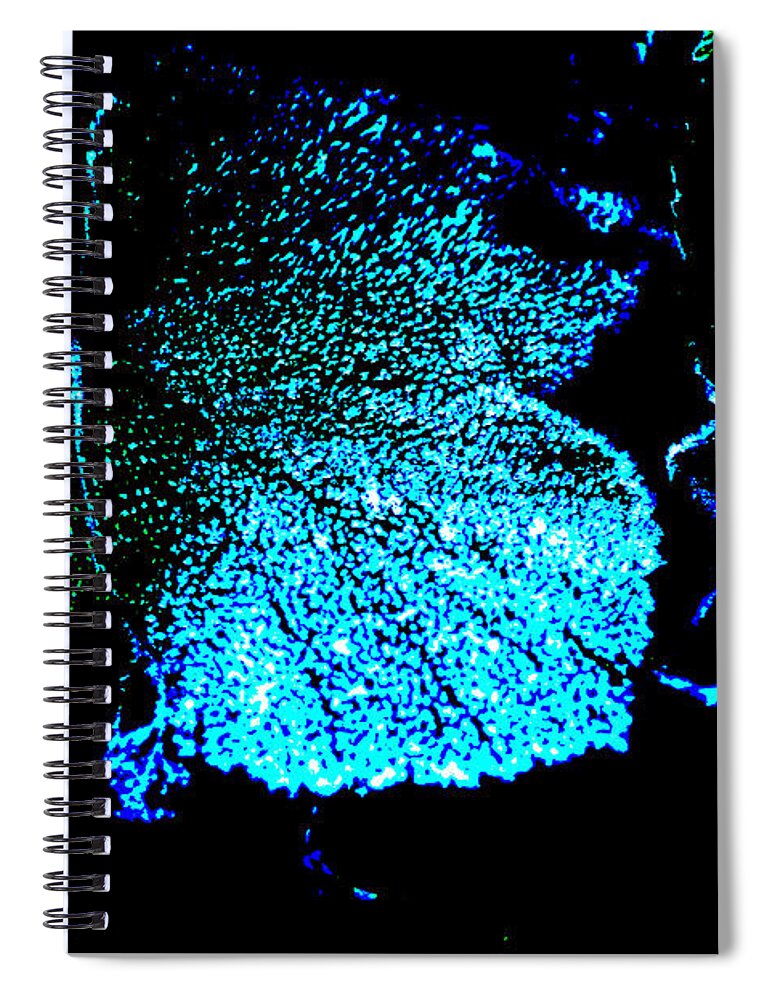 Blue Green Black Leaf Winter Spiral Notebook featuring the digital art Blue Leaf by Randi Grace Nilsberg