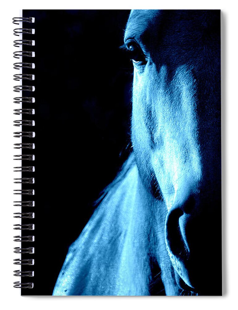 Horses Spiral Notebook featuring the photograph Blue Majesty.. by Al Swasey