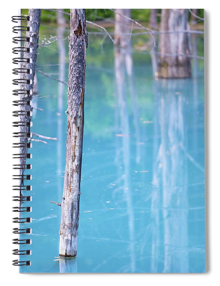 Tranquility Spiral Notebook featuring the photograph Blue Pond by Jason Arney