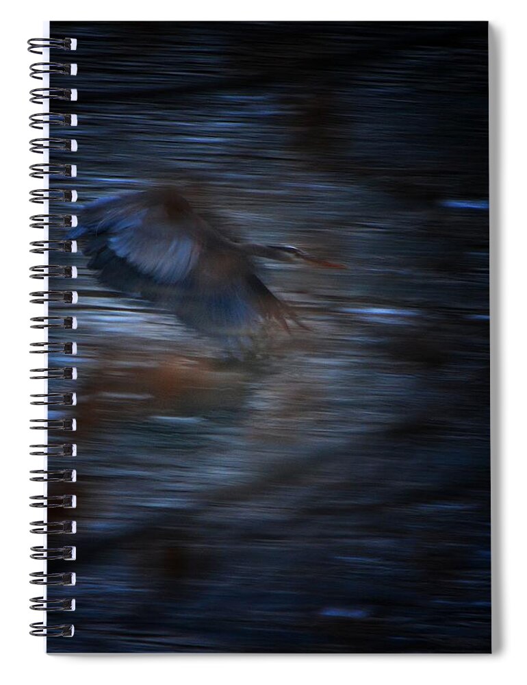 Great Blue Heron Spiral Notebook featuring the photograph Blue Streak by Robert McCubbin