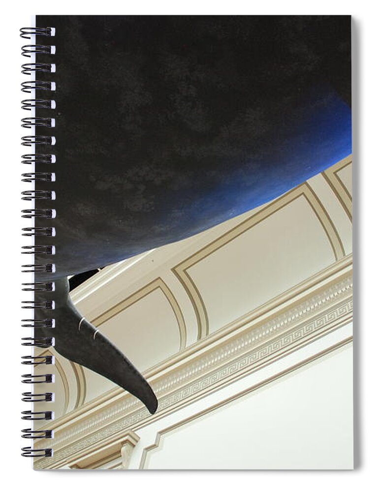 Blue Whale Spiral Notebook featuring the photograph Blue Whale Experience by Kenny Glover
