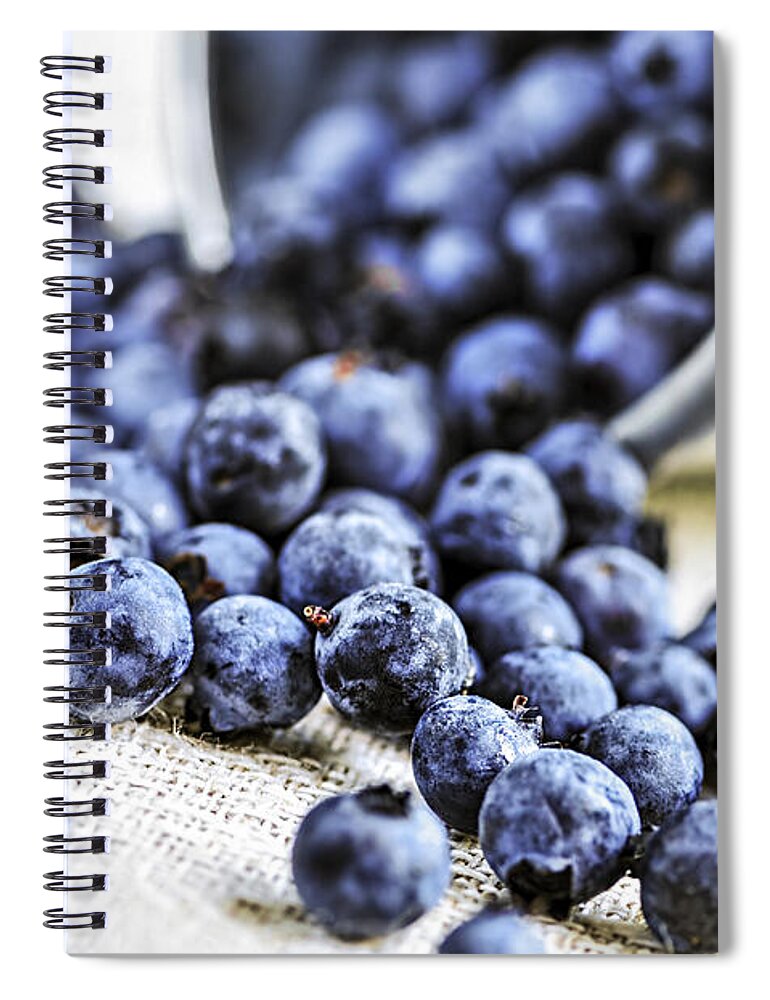 Blueberry Spiral Notebook featuring the photograph Blueberries by Elena Elisseeva