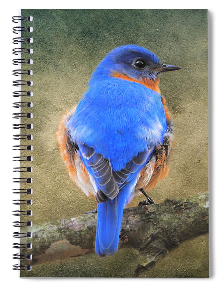 Bluebird Spiral Notebook featuring the photograph Bluebird by Jai Johnson