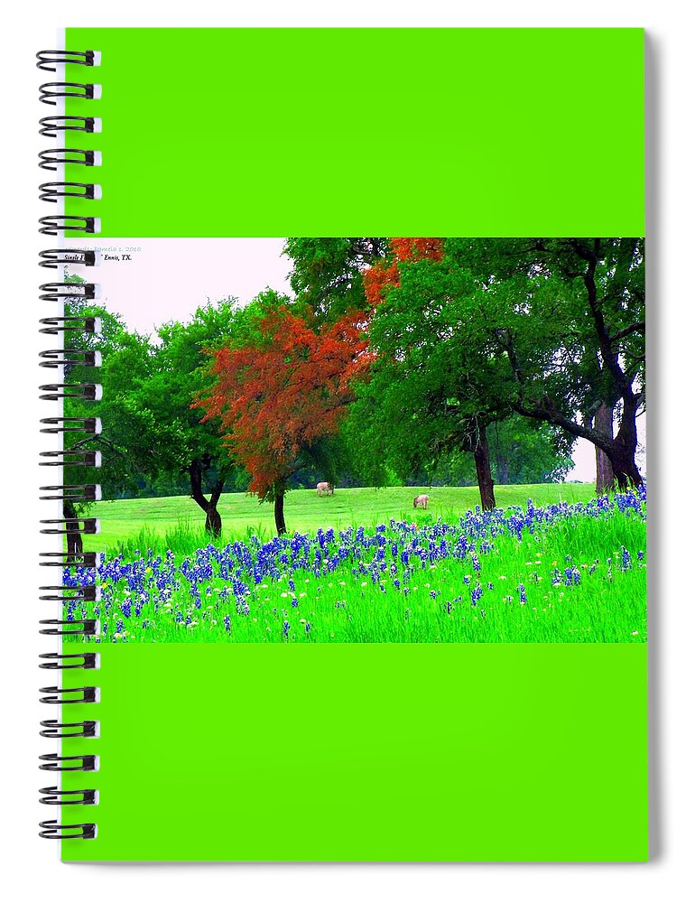 Spring Landscape Bluebonnets Spiral Notebook featuring the digital art Bluebonnets With Red Flourish by Pamela Smale Williams