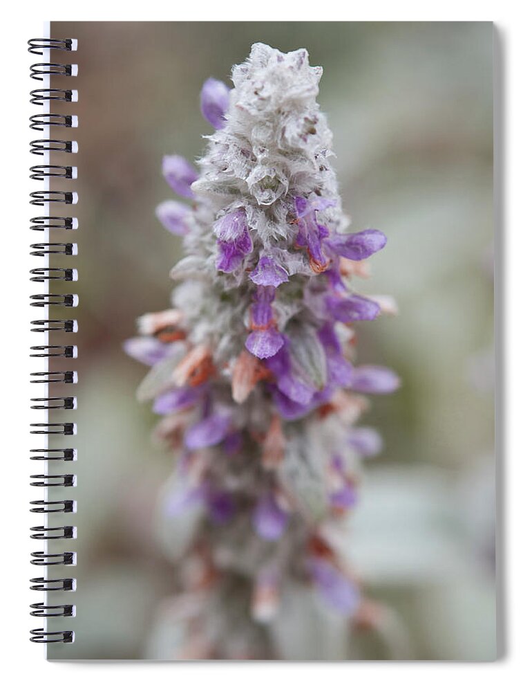 Flowers Spiral Notebook featuring the photograph Blumen by Miguel Winterpacht