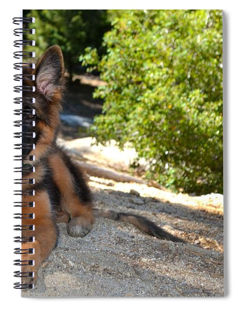 Bodhi Spiral Notebook featuring the photograph Bodhi's Trail by Christine Owens