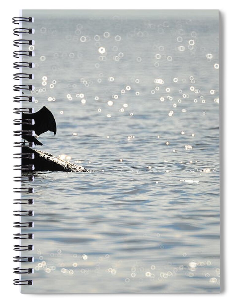 Cormorant Spiral Notebook featuring the photograph Bokeh by Randi Grace Nilsberg