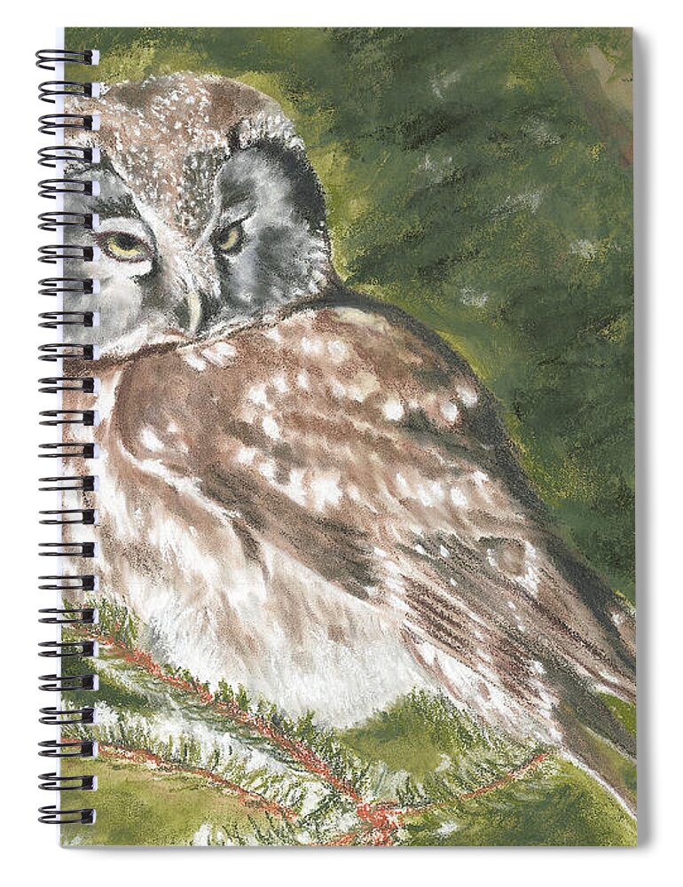 Boreal Owl Spiral Notebook featuring the painting Boreal Owl by Jymme Golden
