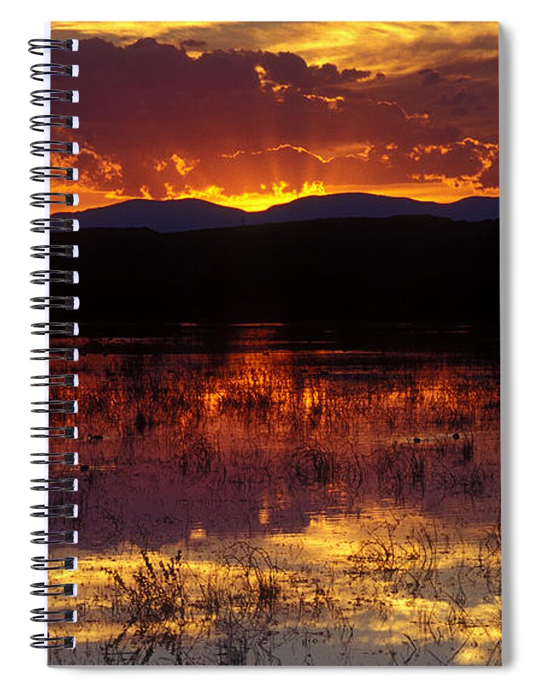 Bosque Spiral Notebook featuring the photograph Bosque Sunset - orange by Steven Ralser