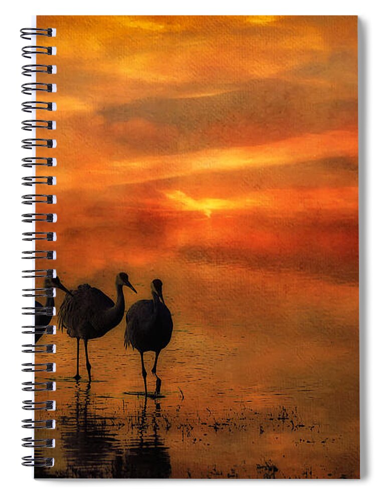 Bosque Sunset Spiral Notebook featuring the photograph Bosque Sunset by Priscilla Burgers