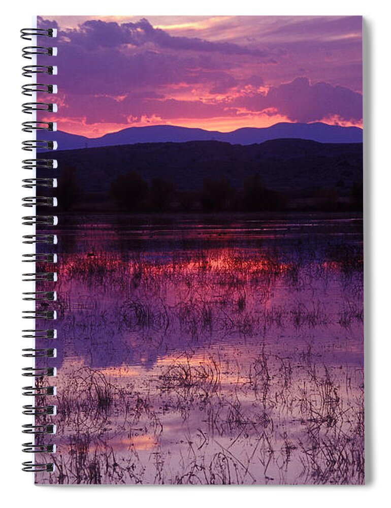 Bosque Spiral Notebook featuring the photograph Bosque sunset - purple by Steven Ralser