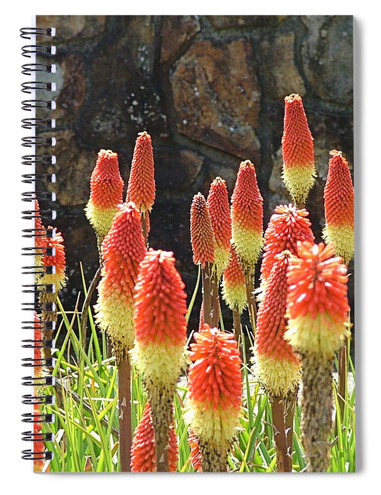 Flowers Spiral Notebook featuring the photograph Bottle Rockets by Wendy McKennon