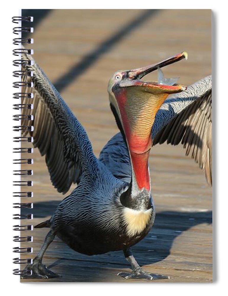 Wild Spiral Notebook featuring the photograph Bottoms Up by Christy Pooschke