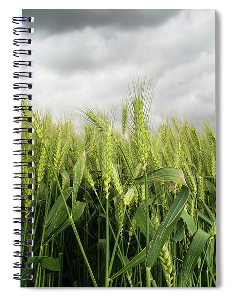 Scenics Spiral Notebook featuring the photograph Bountiful - Golan Heights by Photographed By Michael Williams