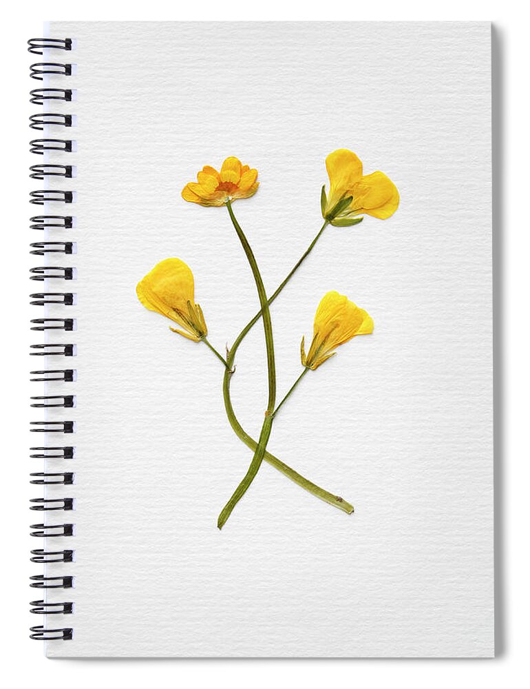 Composition Spiral Notebook featuring the photograph Bouquet by Agalma