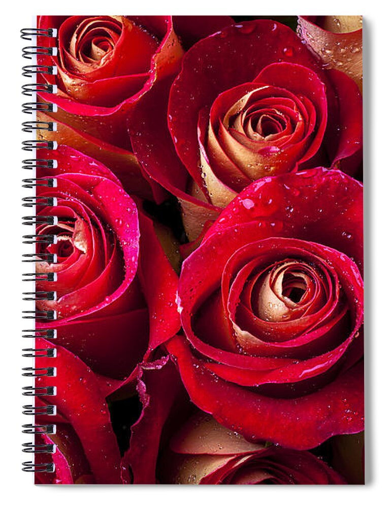 Boutique Roses Spiral Notebook featuring the photograph Boutique roses by Garry Gay