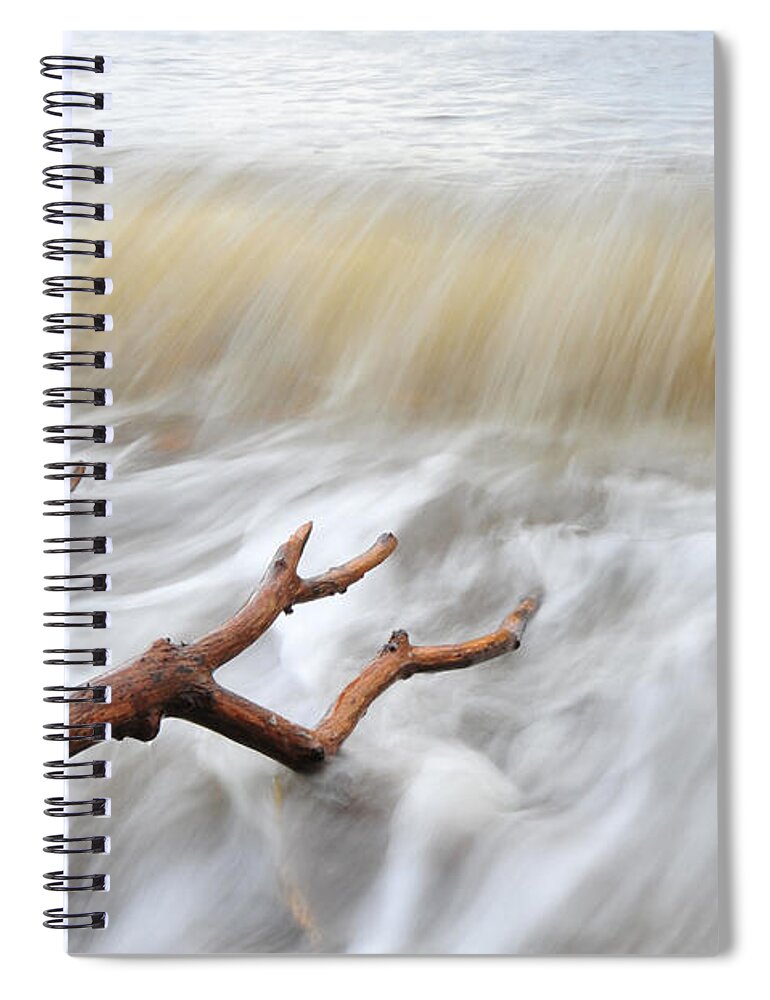 Branches Spiral Notebook featuring the photograph Branches in Water by Randi Grace Nilsberg