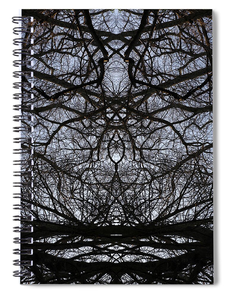 Autumn Spiral Notebook featuring the photograph Branches by Steve Ball