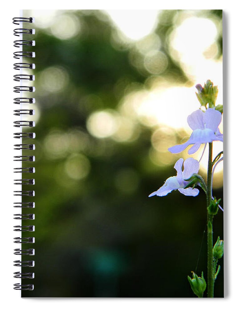 Flower Spiral Notebook featuring the photograph Breath by Andrea Anderegg