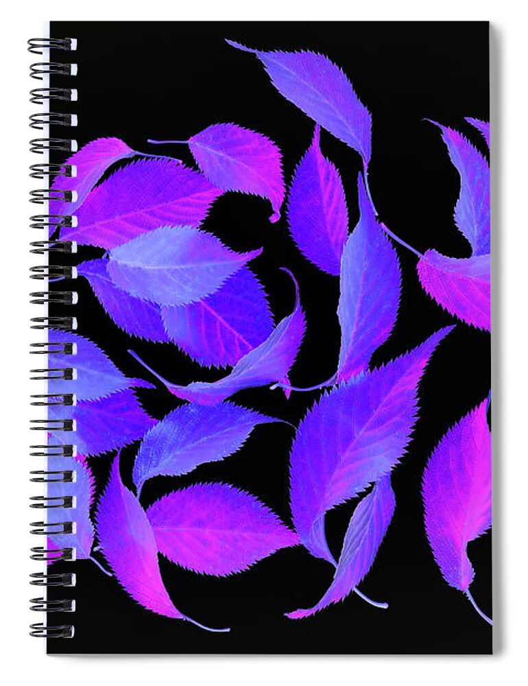 Haslemere Spiral Notebook featuring the photograph Bright Coloured Leaf Fantasy On Black by Rosemary Calvert