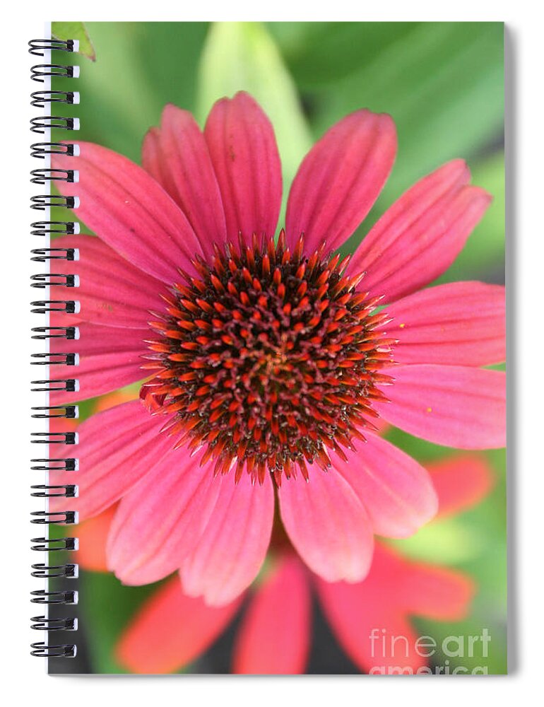 Flower Spiral Notebook featuring the photograph Bright On by Susan Herber