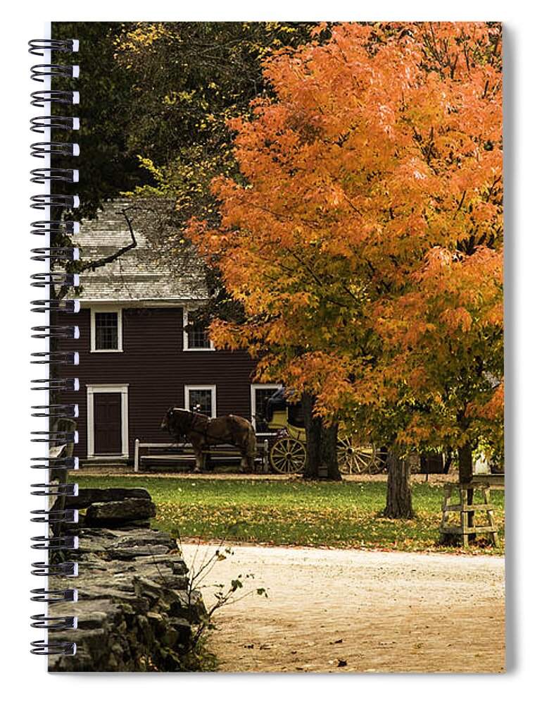 Fall Colors Spiral Notebook featuring the photograph Bright orange autumn by Jeff Folger