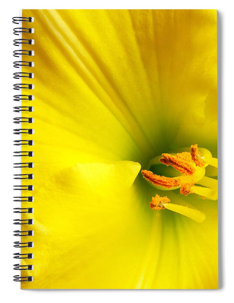 Lily Spiral Notebook featuring the photograph Bright Yellow Lily by Jim Hughes