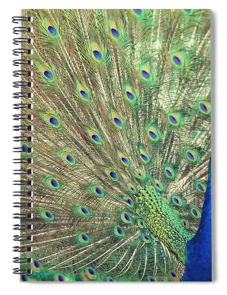 Green Spiral Notebook featuring the photograph Brilliant Beautiful Backdrop by Carrie Ann Grippo-Pike