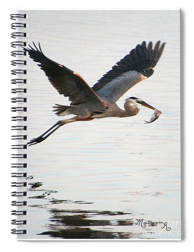 Fauna Spiral Notebook featuring the photograph Bringing Home Dinner by Mariarosa Rockefeller