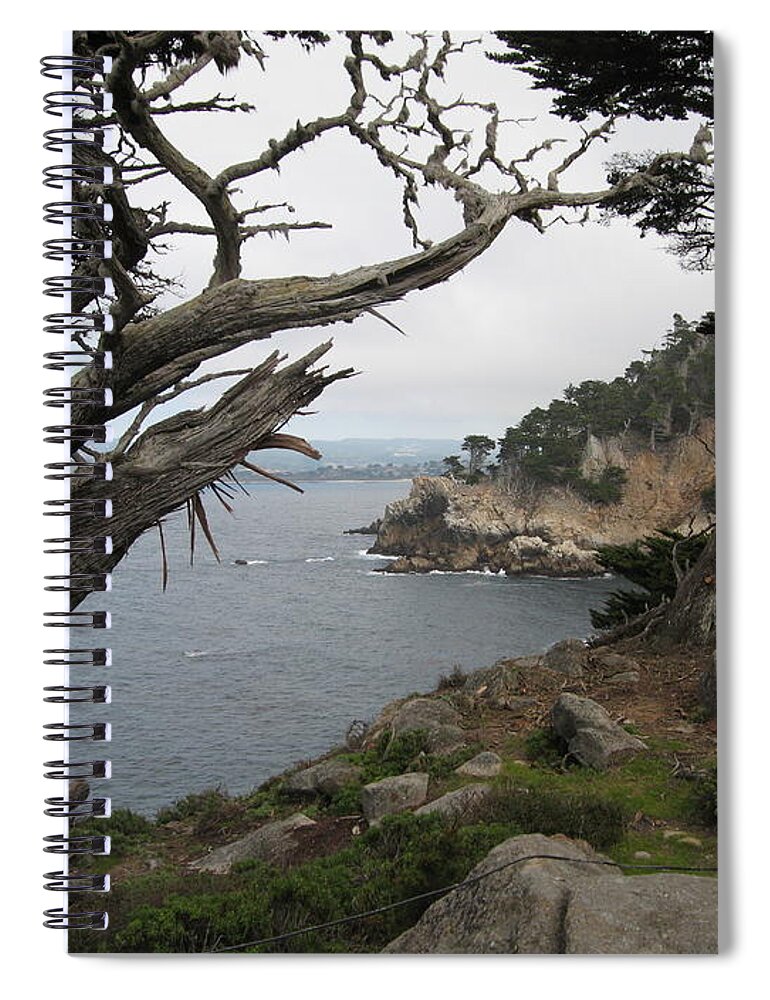 Point Lobos Spiral Notebook featuring the photograph Broken Cypress by James B Toy