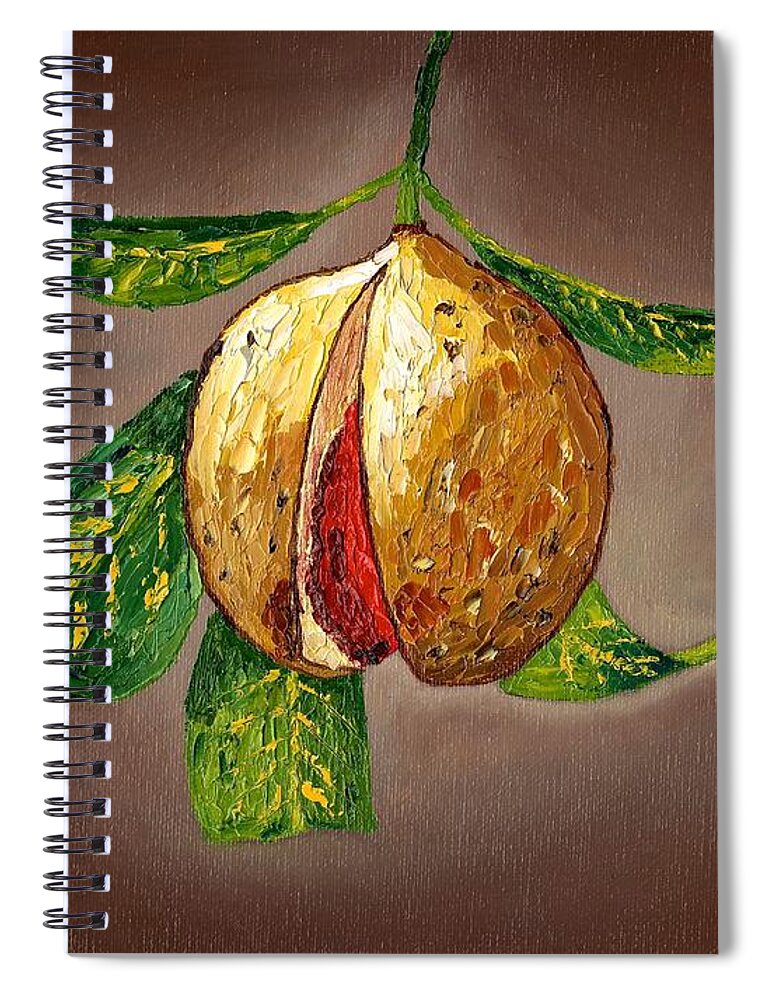 Nutmeg Spiral Notebook featuring the painting Brown Glow Nutmeg by Laura Forde