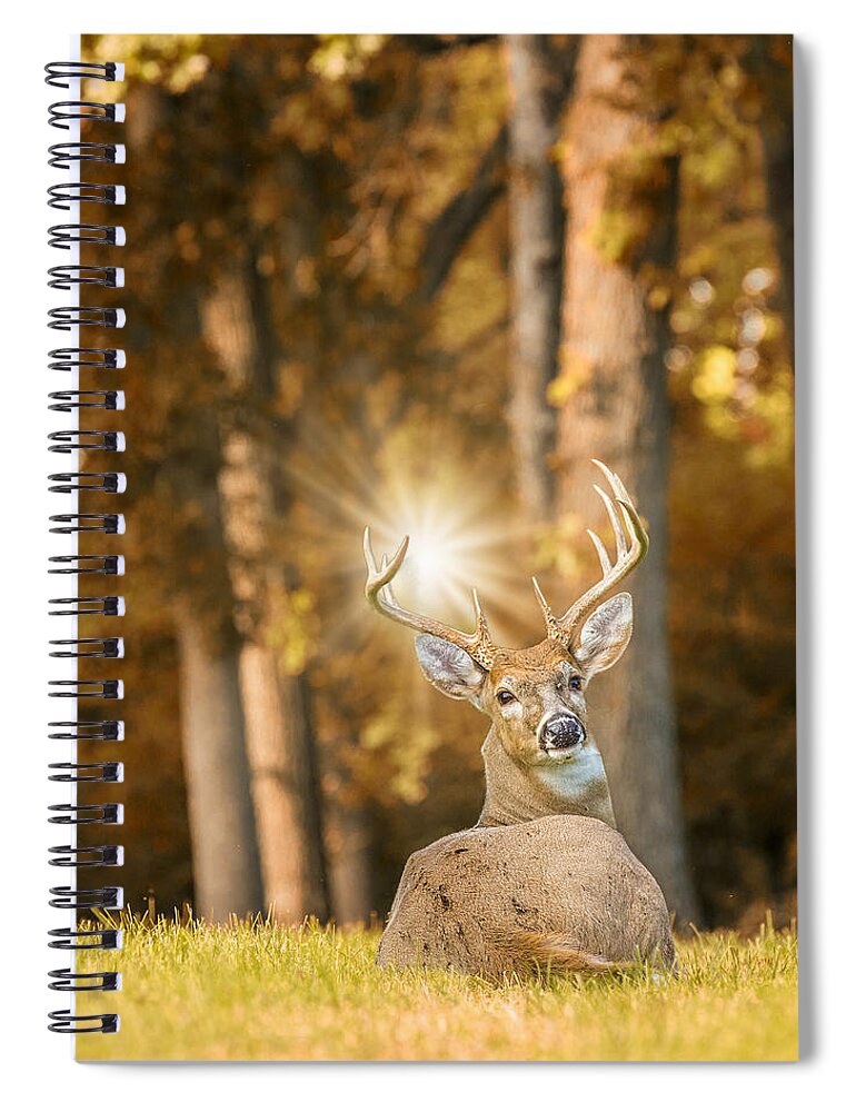 Deer Spiral Notebook featuring the photograph Buck Wild by Bill and Linda Tiepelman