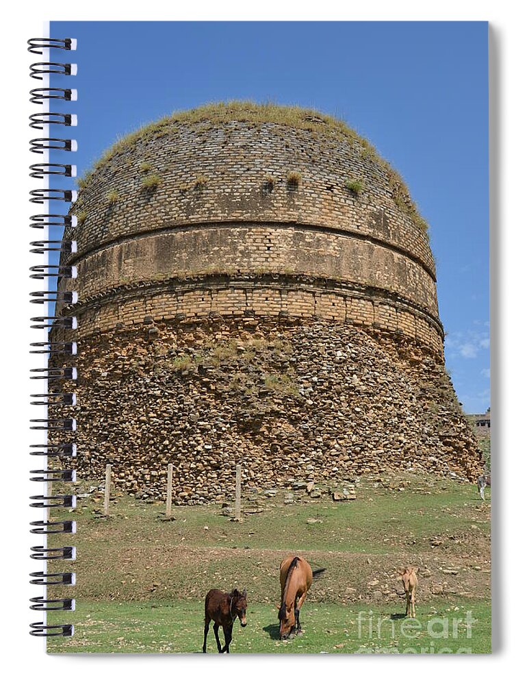 Zen Spiral Notebook featuring the photograph Buddhist religious stupa horse and mules Swat Valley Pakistan by Imran Ahmed