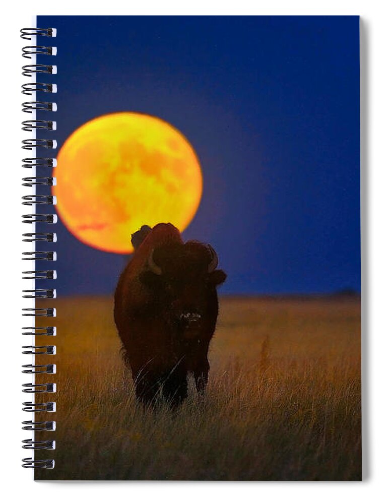 Bison Spiral Notebook featuring the photograph Buffalo Moon by Kadek Susanto