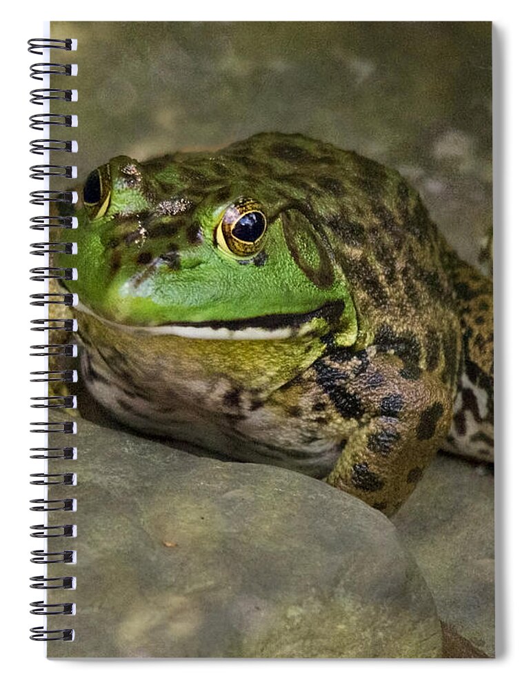 Bullfrog Spiral Notebook featuring the photograph Bullfrog by Jemmy Archer