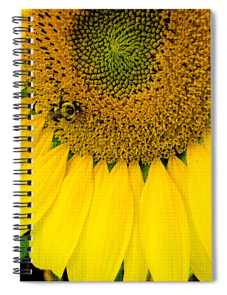 Sunflower Spiral Notebook featuring the photograph Bumble bee on Sunflower by Crystal Wightman