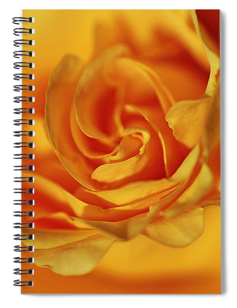 Flower Spiral Notebook featuring the photograph Burning Yellow by Lorenzo Cassina