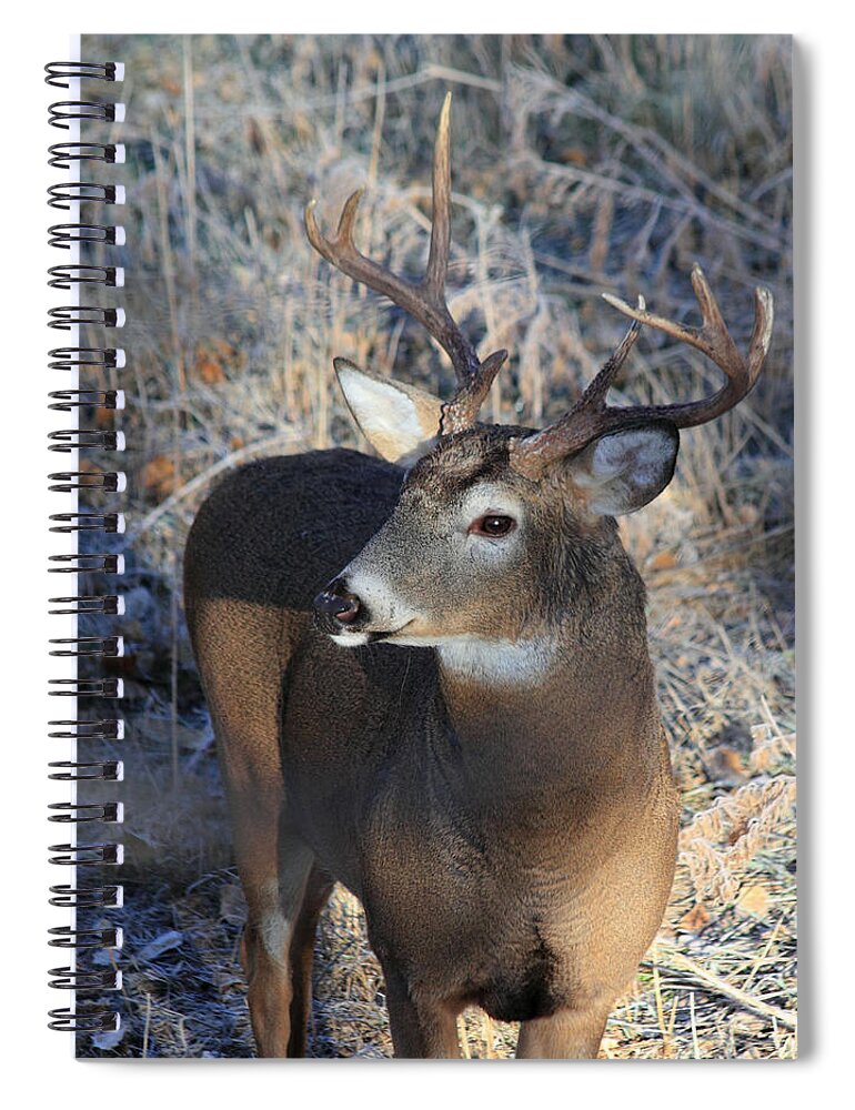 Buck Spiral Notebook featuring the photograph Busted Antlers by Shane Bechler